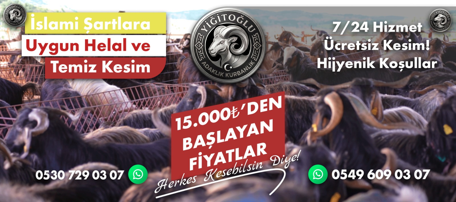 Yigitoglu Adaklik kurbanlik banner gorseli